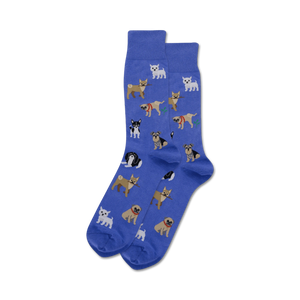 Lifestyle shot showing the blue 'Dogs of the World' socks on a person's feet.