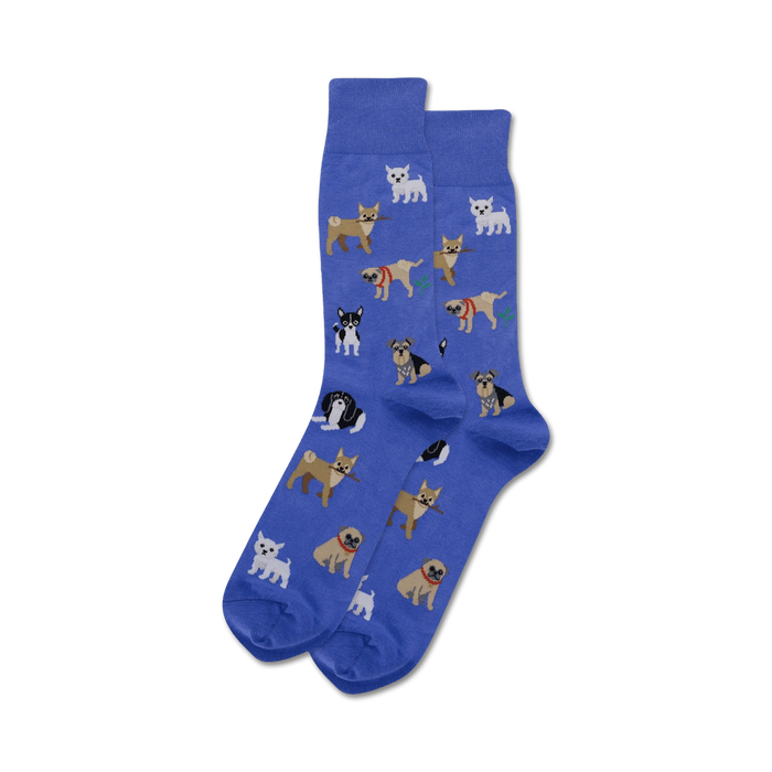 Lifestyle shot showing the blue 'Dogs of the World' socks on a person's feet.