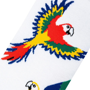 Close-up detail shot of the parrot design on the socks, showcasing the vibrant colors and textured knit.