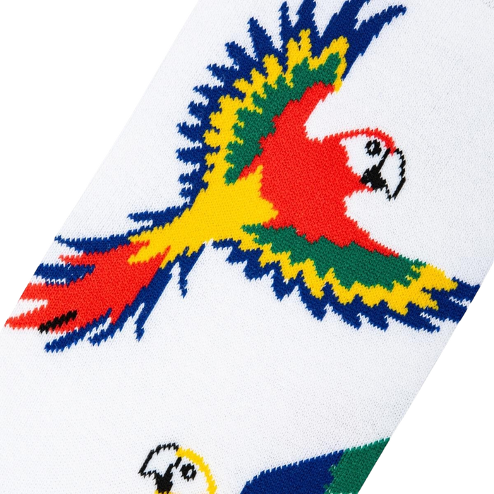 Close-up detail shot of the parrot design on the socks, showcasing the vibrant colors and textured knit.