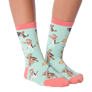 Flat lay product shot of the Musical Dogs socks, highlighting the design detail from a birds-eye perspective.