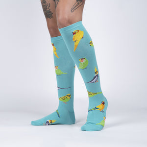 A pair of blue knee-high socks with a pattern of cartoon parakeets wearing horn-rimmed glasses.