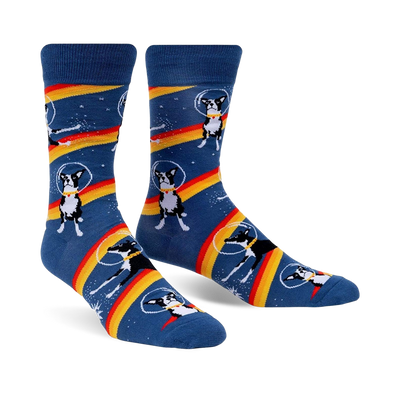 Crew socks in blue with a repeated pattern of Boston Terriers wearing astronaut helmets on a rainbow stripe in space.