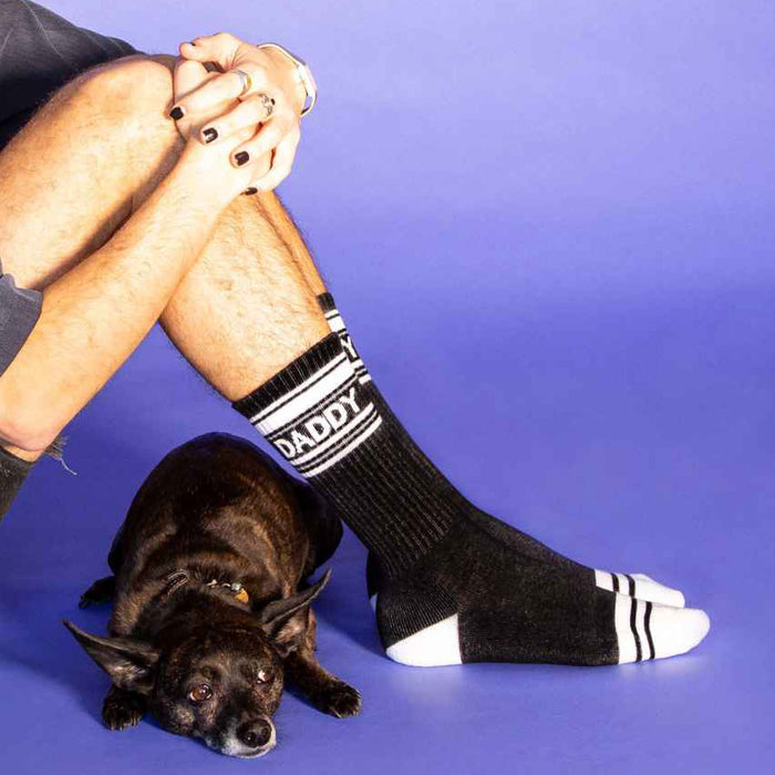 Lifestyle shot: Man wearing black 'Daddy' socks, sitting with his dog against a purple background.