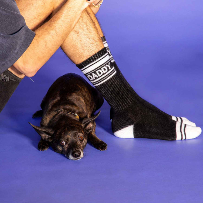Lifestyle shot:  Similar to the first image, showcasing the socks and dog.
