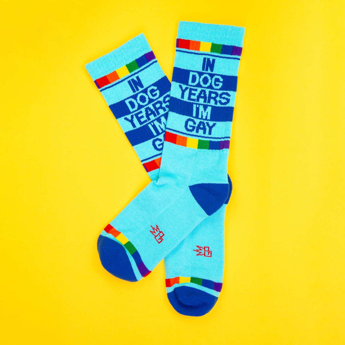 Flatlay product shot of 'In Dog Years I'm Gay' socks on a yellow background.