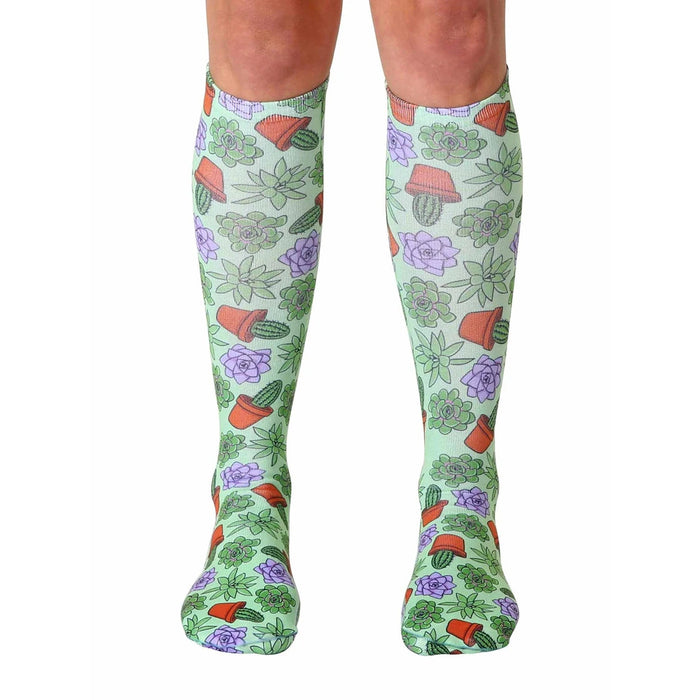 Pair of women's knee-high socks with a pastel green background and all-over print of succulents, cacti, and terracotta pots.