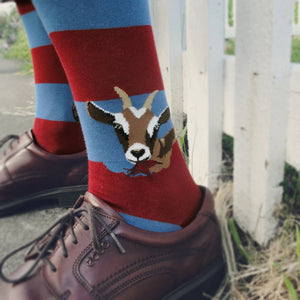A person is wearing red and blue striped socks with a brown goat's head on each sock. The person is wearing brown leather shoes. The background is a white picket fence.