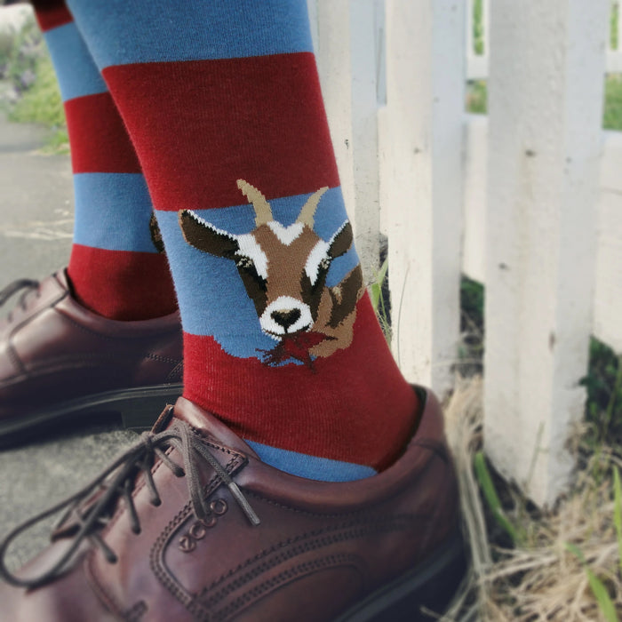 Lifestyle shot of Hungry Goat socks worn with brown leather shoes near a white fence.