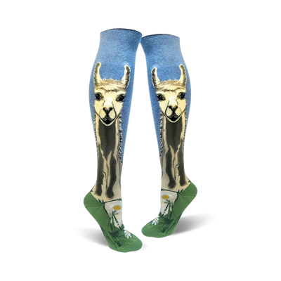 A pair of women's knee-high socks. Light blue background with a llama design, green bottom, and small daisy accents.