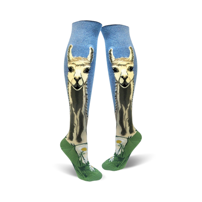 A pair of women's knee-high socks. Light blue background with a llama design, green bottom, and small daisy accents. }}