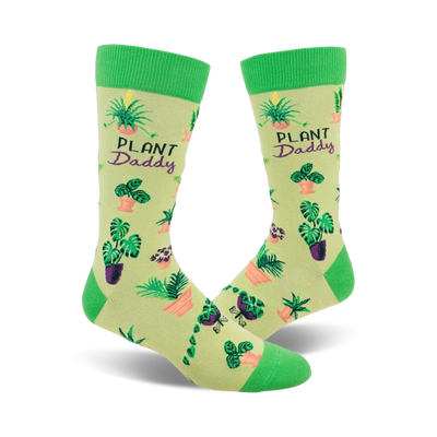 A pair of light green crew socks with a pattern of various potted plants and the words 'Plant Daddy' on a pale yellow background.
