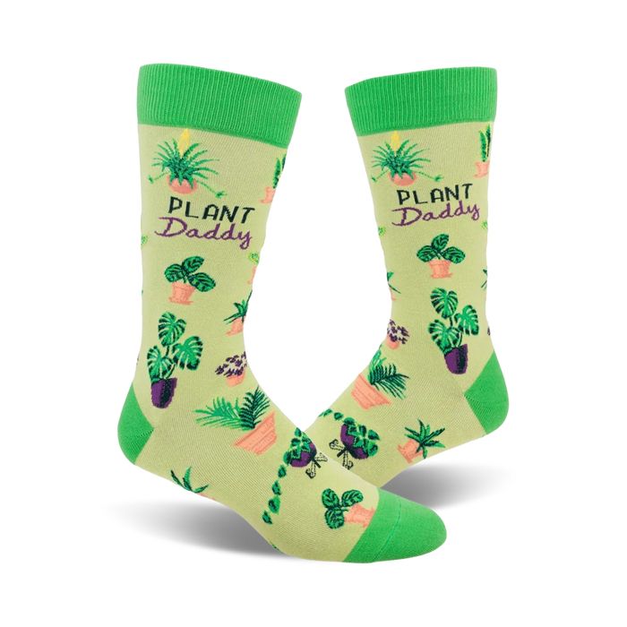 A pair of light green crew socks with a pattern of various potted plants and the words 'Plant Daddy' on a pale yellow background. }}