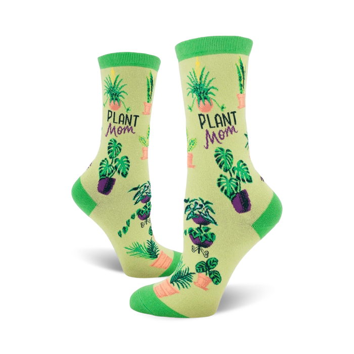  crew socks featuring playful pattern of potted plants and the words 
