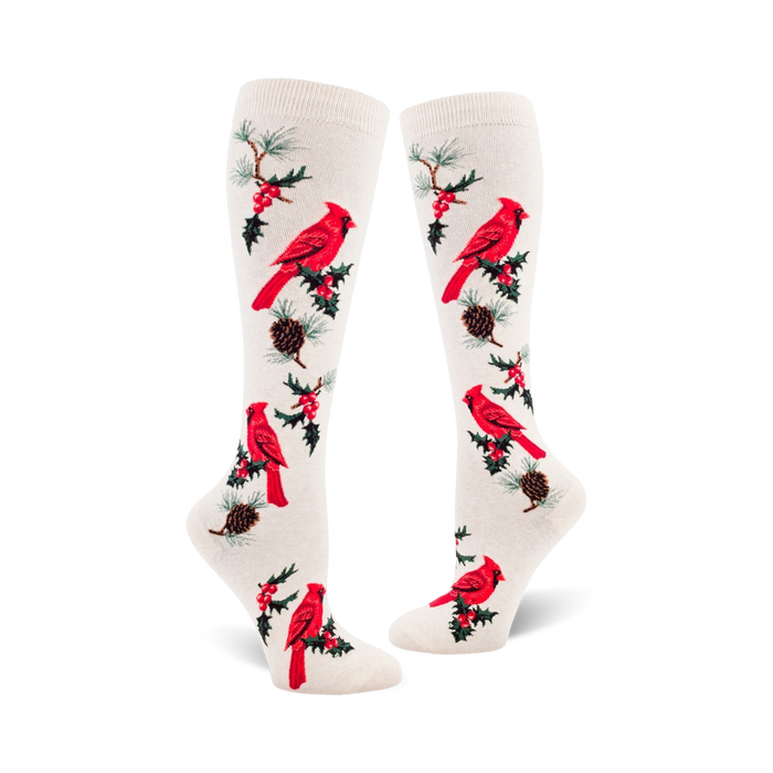 white knee high womens socks with a festive cardinal, pine boughs, and berry pattern.    }}