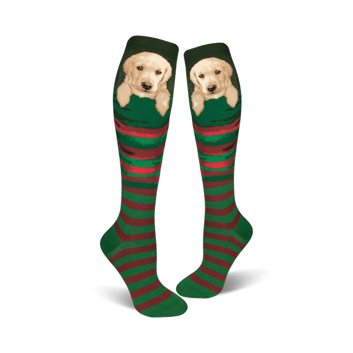 Pair of green and red striped knee-high socks featuring a cute Labrador puppy peeking from the top. }}