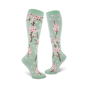 Pair of women's knee-high socks. Mint green background with pink cherry blossoms and falling petals.