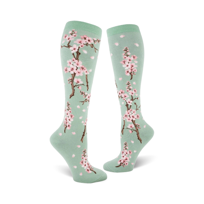 Pair of women's knee-high socks. Mint green background with pink cherry blossoms and falling petals.