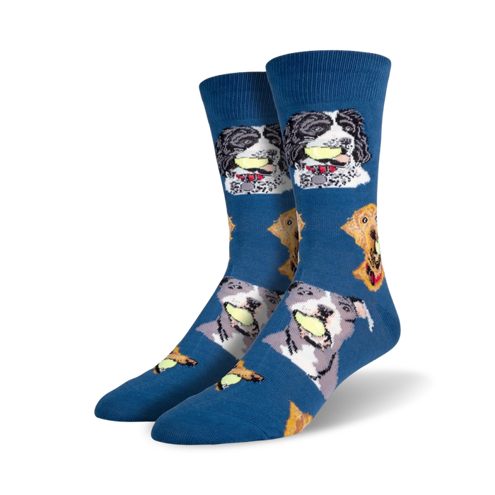 blue crew socks with different dog breeds holding tennis balls.   }}