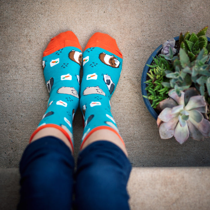 A person is wearing a pair of blue socks with an orange top. The socks have a pattern of guinea pigs, carrots, and lettuce on them. The person is standing on a brown concrete step next to a potted succulent plant.