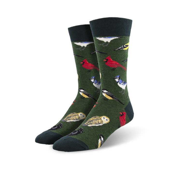crew length men's socks with a colorful pattern of cardinals, blue jays, owls, and chickadees on a dark green background.   }}
