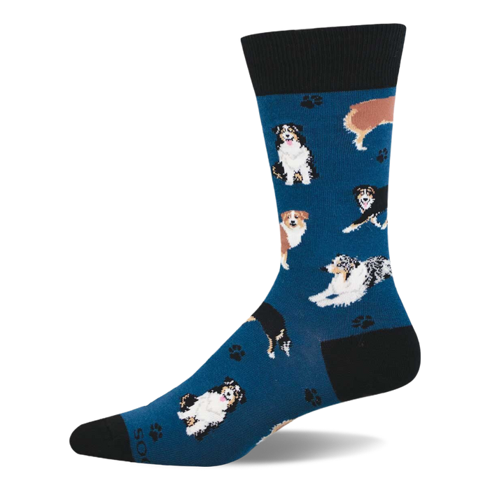 Blue crew socks with multiple Australian Shepherd dogs in different poses and small black paw prints. Black cuff, heel, and toe. }}
