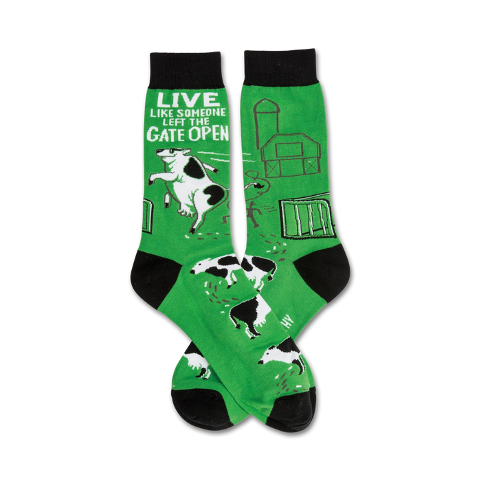Pair of green crew socks with black toes and cuffs. Design features a farmyard scene with cows escaping, a barn, and the text 'Live like someone left the gate open'. }}