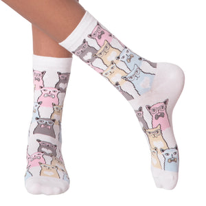Close-up of a person's legs wearing white Smarty Cats socks.
