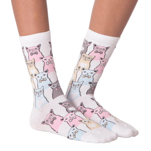 Flatlay showcasing a pair of white Smarty Cats socks.