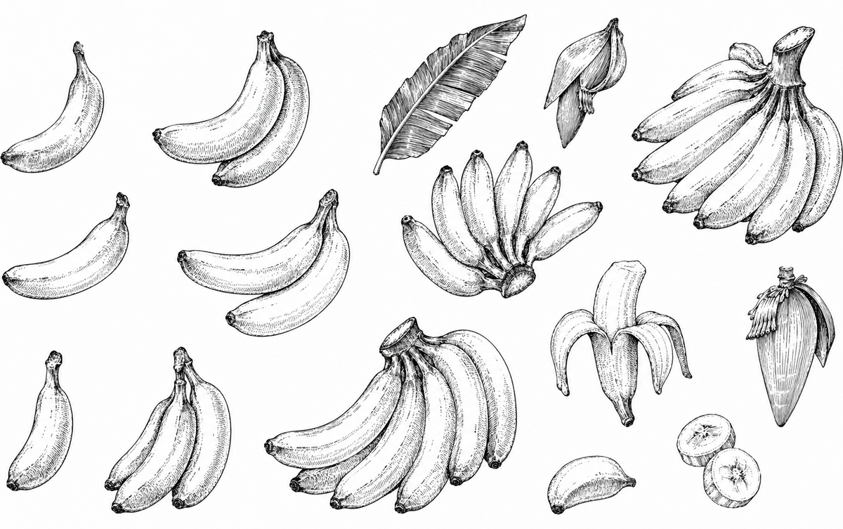 Banana Socks