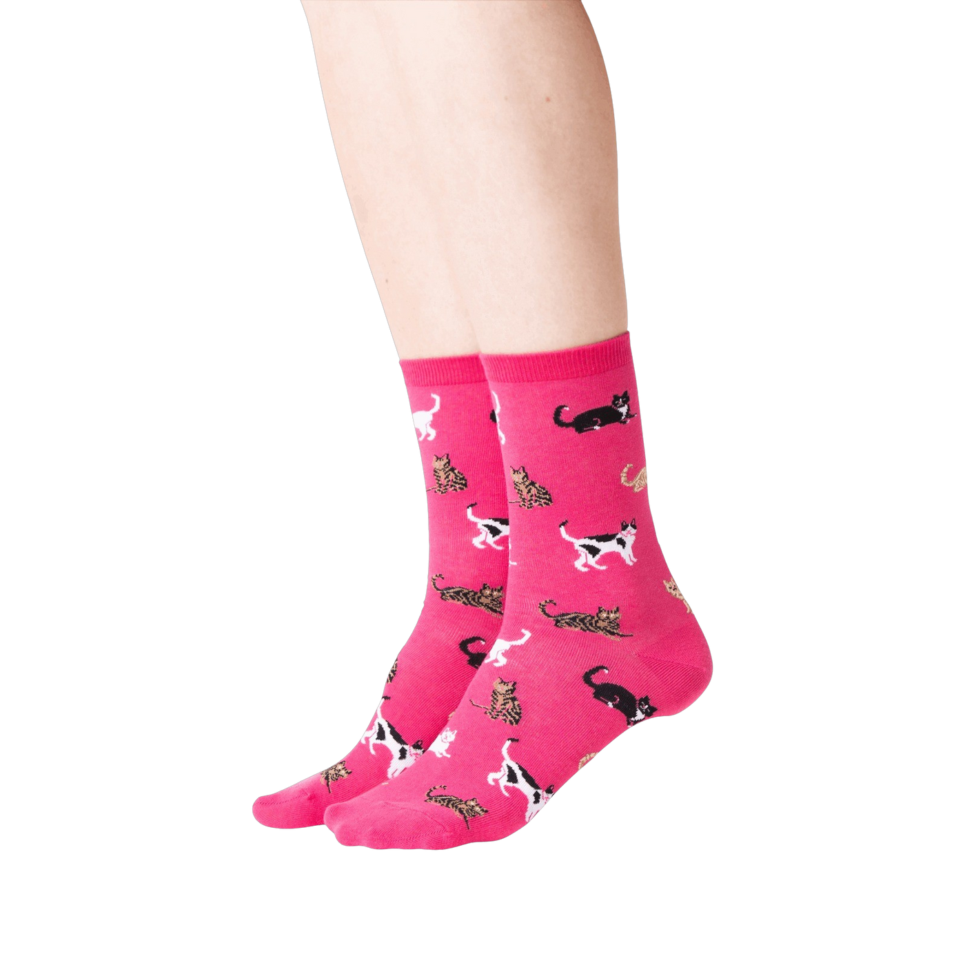 Lifestyle shot showing a person wearing a pair of pink Classic Cats socks. The socks are crew length and feature a pattern of various cats in black, brown, and white.