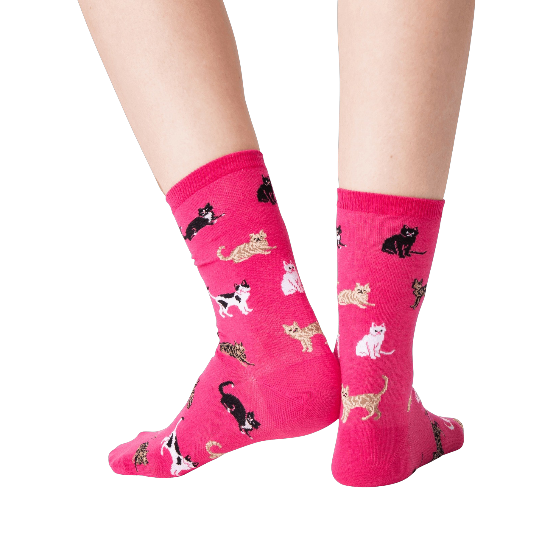 Flatlay image showing all four colorways of the Classic Cats socks