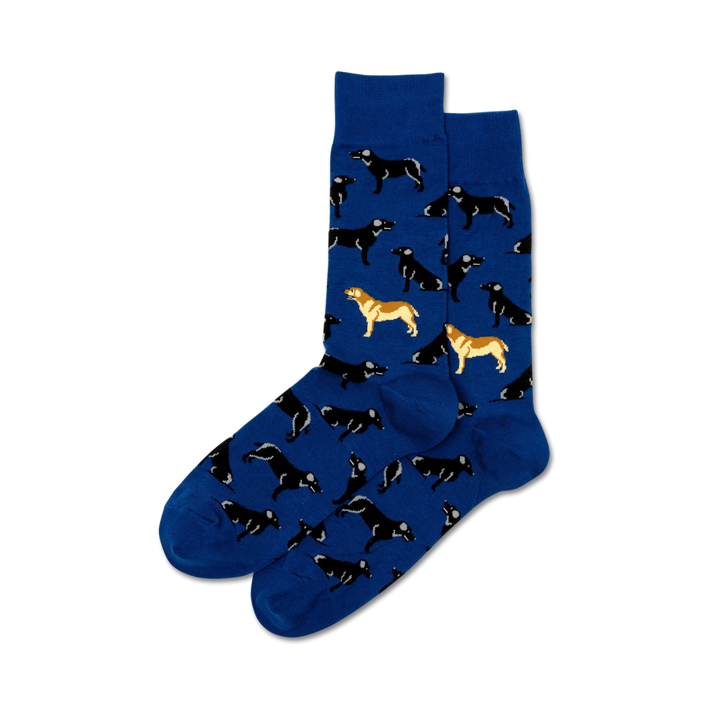Lifestyle shot: Two pairs of Labrador socks, one maroon and one royal blue, laid on a surface. 
