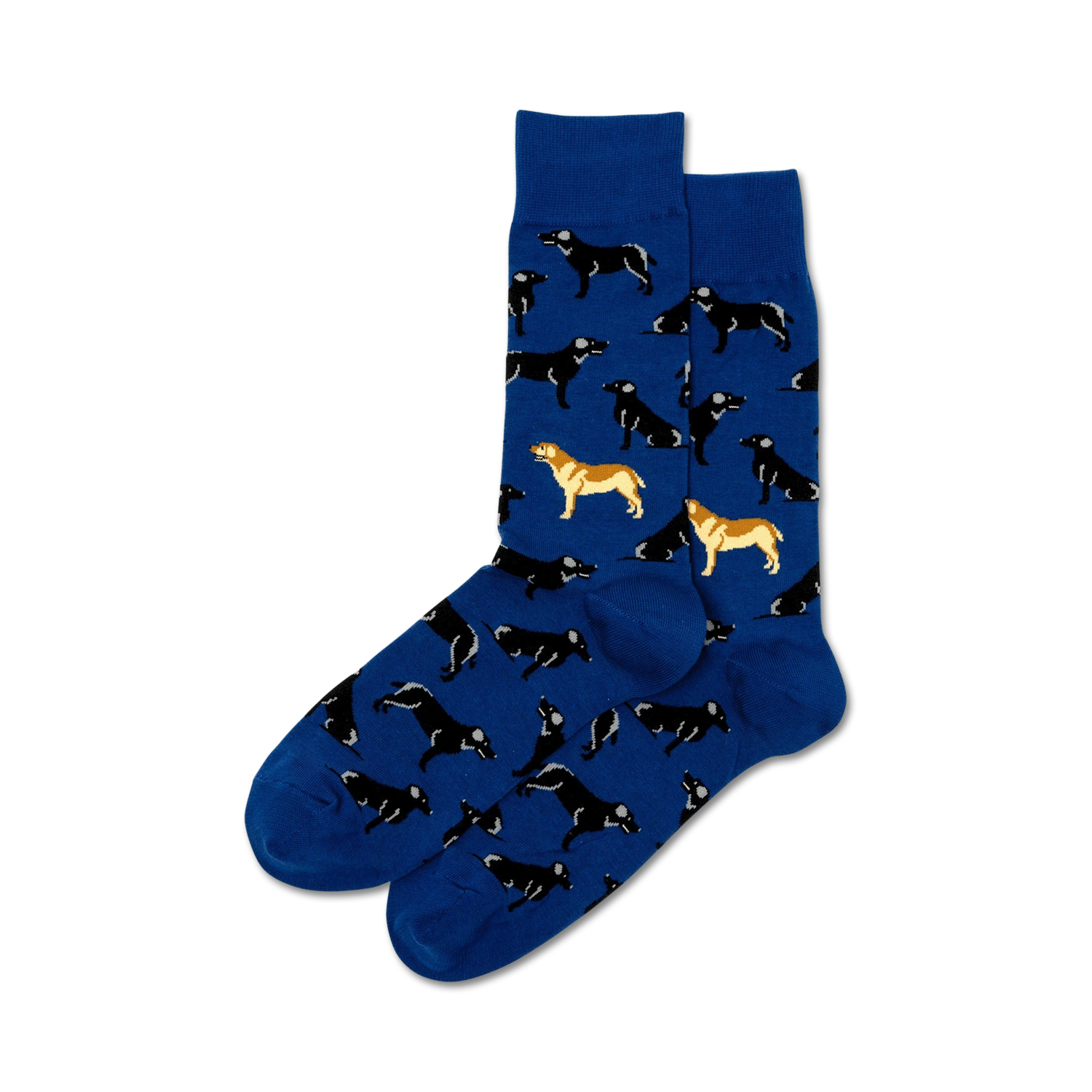 Lifestyle shot: Two pairs of Labrador socks, one maroon and one royal blue, laid on a surface. 