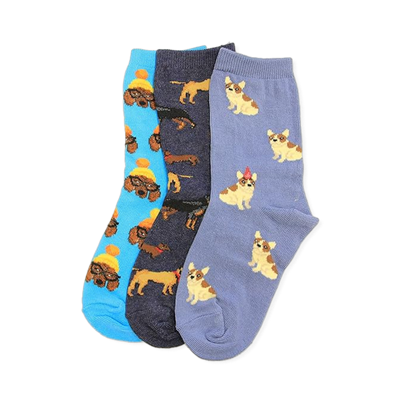 Three pairs of crew socks: blue with poodles in beanies, dark blue with dachshunds, lavender with corgi-like dogs.