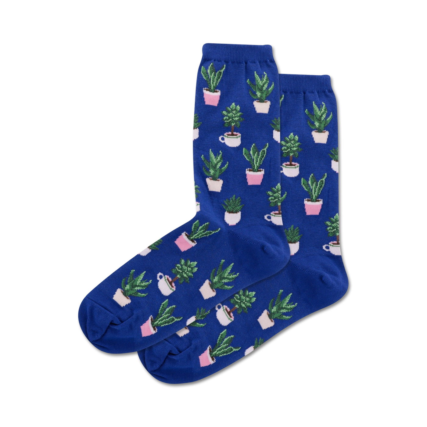 Pair of blue crew socks with a repeating pattern of potted succulents in pink and green pots.