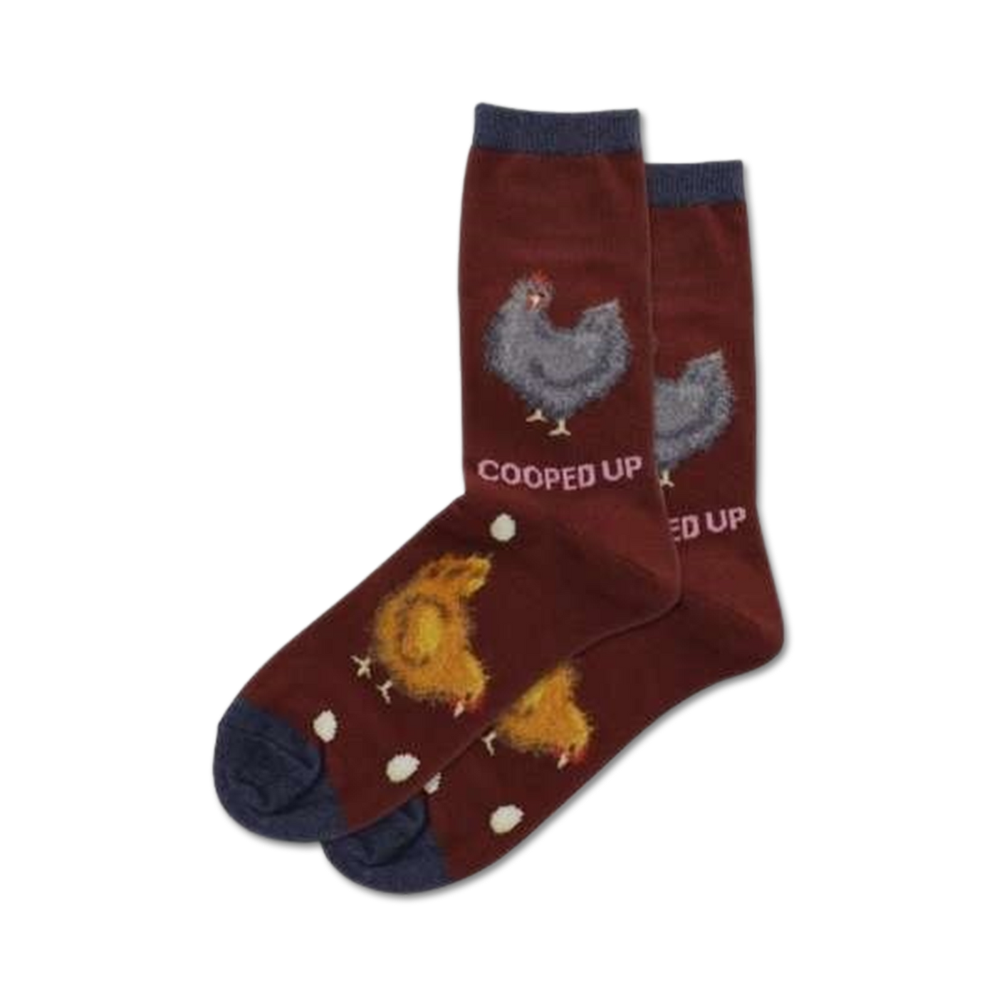 Pair of maroon crew socks with a navy cuff. Features illustrations of chickens and eggs. Text reads 'Cooped Up'.