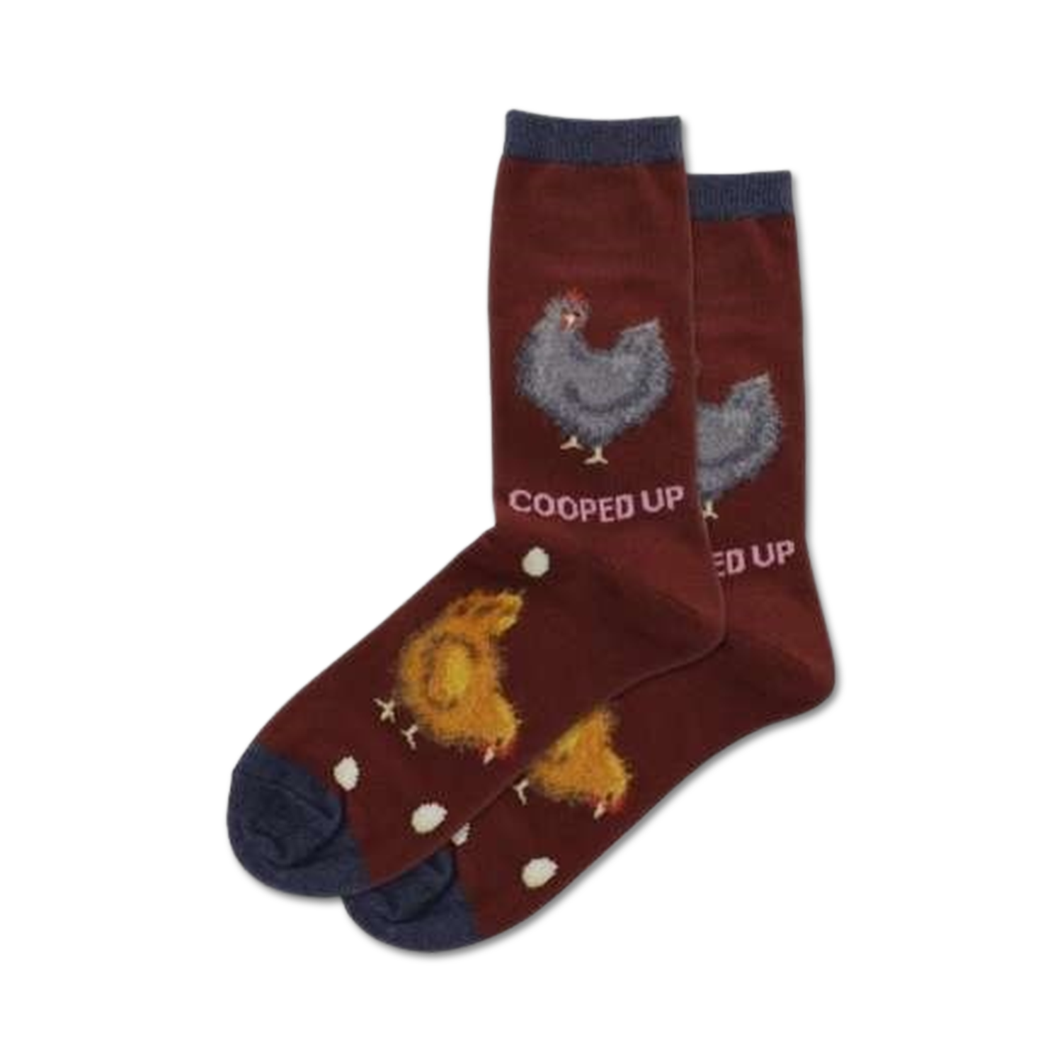 Pair of maroon crew socks with a navy cuff. Features illustrations of chickens and eggs. Text reads 'Cooped Up'.