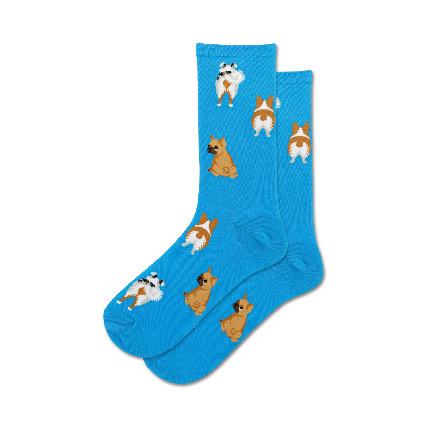 Lifestyle shot: A person wearing the bright blue Dog Tails socks.