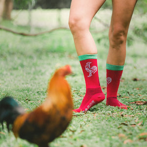 Lifestyle photo: Close-up of the socks and a rooster in an outdoor setting.