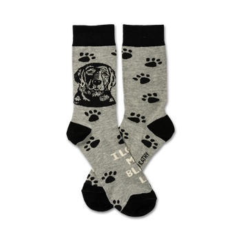dog-themed socks in gray with black tops, toes, and paw prints. black dog heads on the front; "i love my black lab" on bottom. unisex, crew length.   