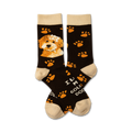 Crew socks with a dark brown background, orange paw prints, and a Goldendoodle image. Text says 'I'm a Goldendoodle'.