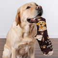 Lifestyle product shot: A yellow lab gently holds one of the 'I Love My Yellow Lab' socks in its mouth.