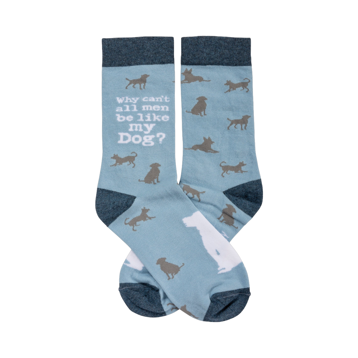 Crew socks in light blue with a grey dog pattern. Text on the sock reads: Why can't all men be like my Dog?
