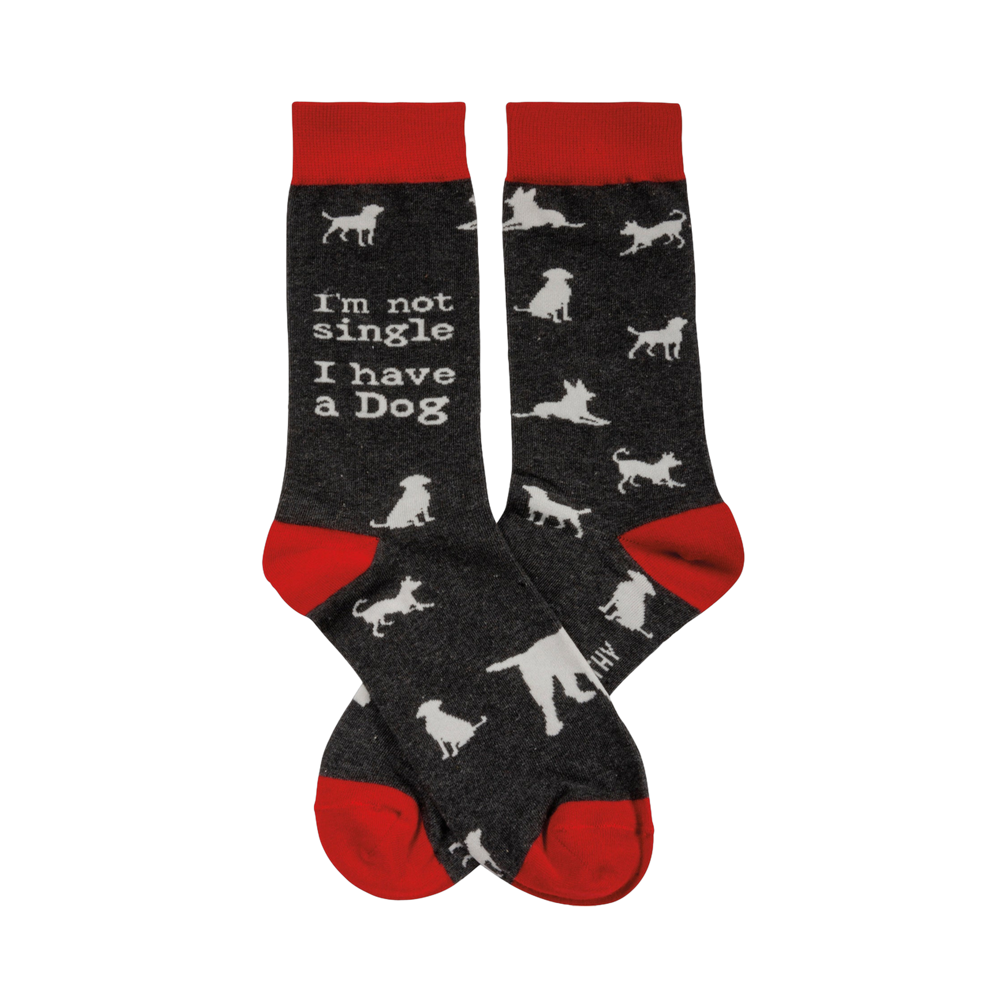Crew socks in dark gray with red cuffs.  White dog silhouettes and the text 'I'm not single I have a Dog' are printed on the socks.