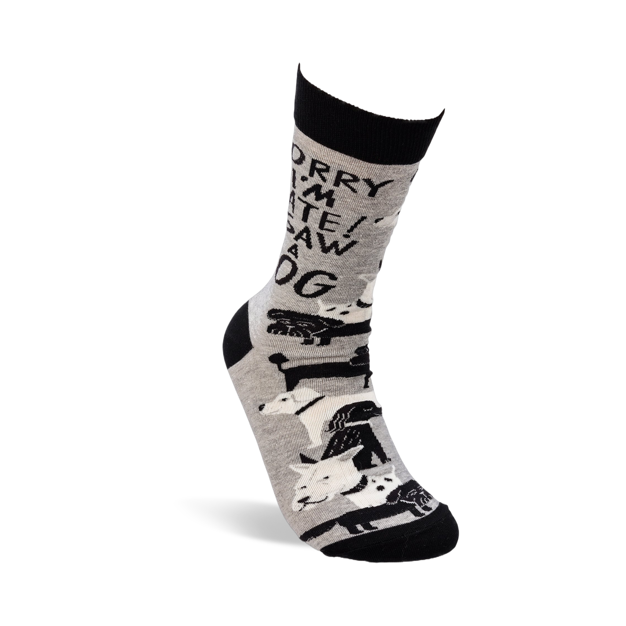 Single grey crew sock with "SORRY I'M LATE! I SAW A DOG" text and dog pattern, worn on a foot with a black stand on a white background.