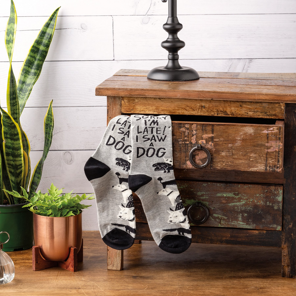 [lf] Pair of grey socks with dog pattern and text hanging over a rustic wooden drawer, with a snake plant and a copper pot visible.