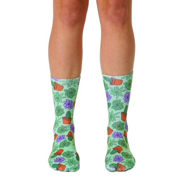 A pair of crew socks in pastel green, adorned with a repeating pattern of purple and green succulents in terracotta pots. [lf]