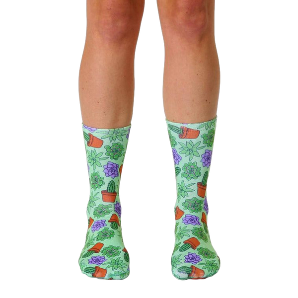 A pair of crew socks in pastel green, adorned with a repeating pattern of purple and green succulents in terracotta pots. [lf]