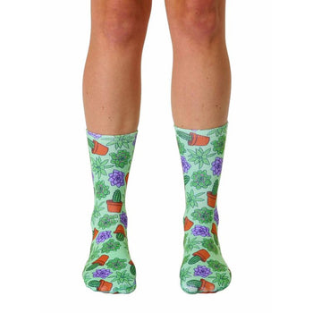 crew socks with cool cactus and succulent designs in pots for plant enthusiasts.  